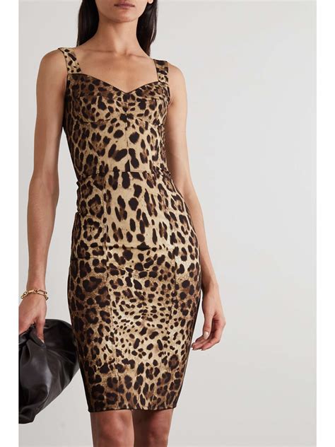 dolce gabbana leopard t shirt|Dolce & Gabbana leopard print sheath dress.